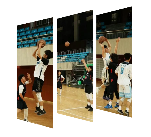 6a675247e3cb4b1ba36db42fe1a0450c.png 6a675247e3cb4b1ba36db42fe1a0450c.png